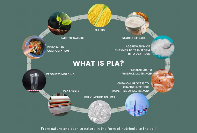 WHAT IS PLA COMPOSTABLE PLASTICS